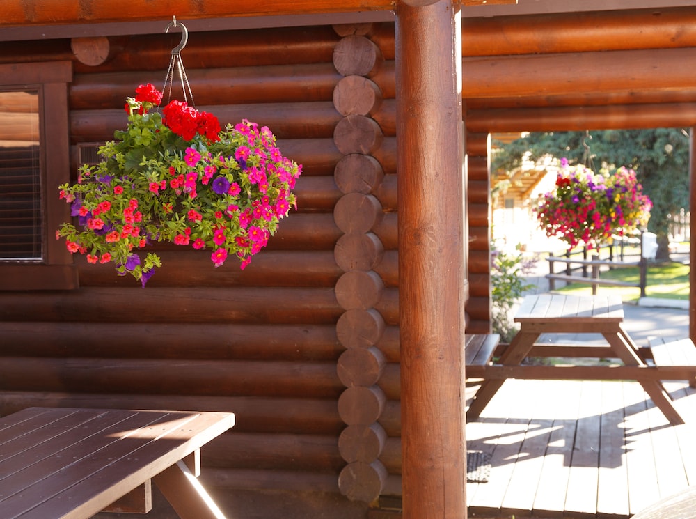 Deluxe Cabin - Photo 1