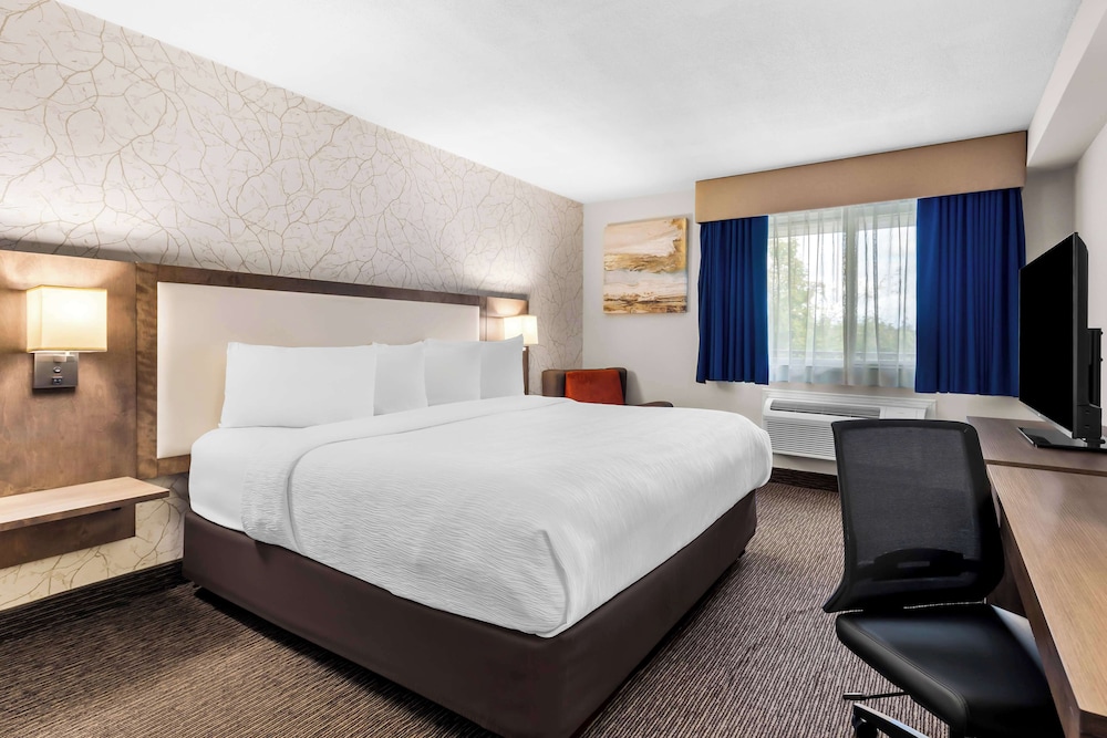 Suite, 1 King Bed, Non Smoking, Kitchenette (Oversized Room;with Sofabed) photo 1