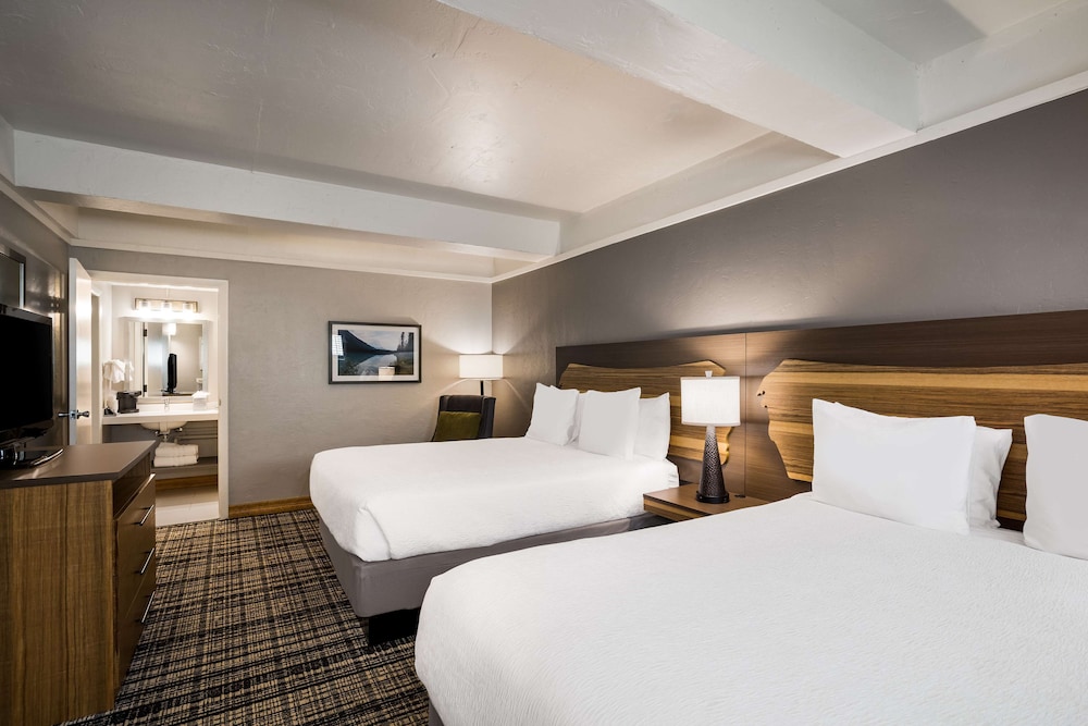 Suite, Multiple Beds, Non Smoking (with Single Sofabed) photo 2