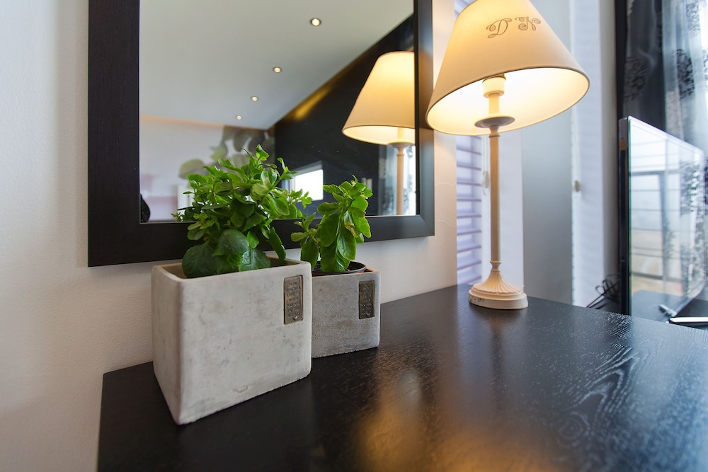 Apple Mint - Photo 7