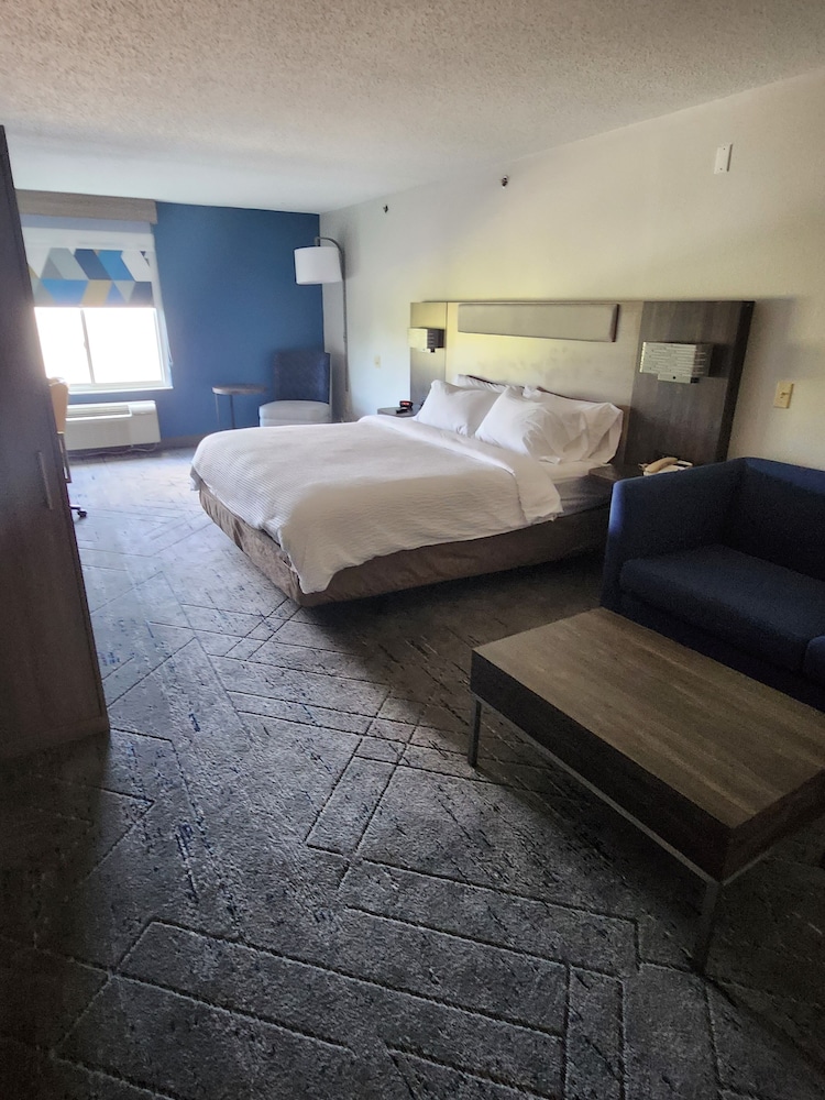 Suite, 1 King Bed with Sofa bed - Photo 5
