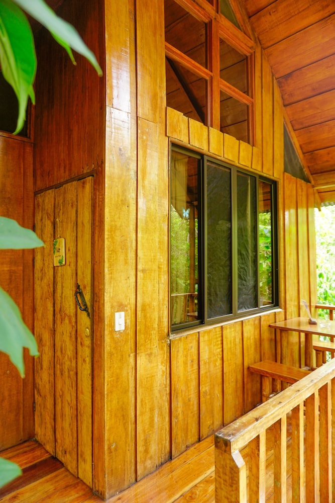The Toucan Tree House photo 3