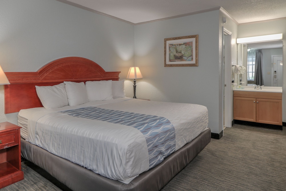 Room, 1 King Bed photo 3