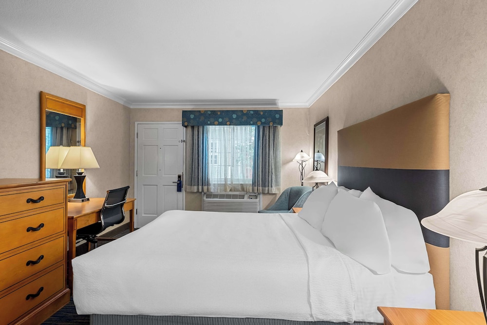 Standard Room, 1 Queen Bed, Accessible, Non Smoking photo 1