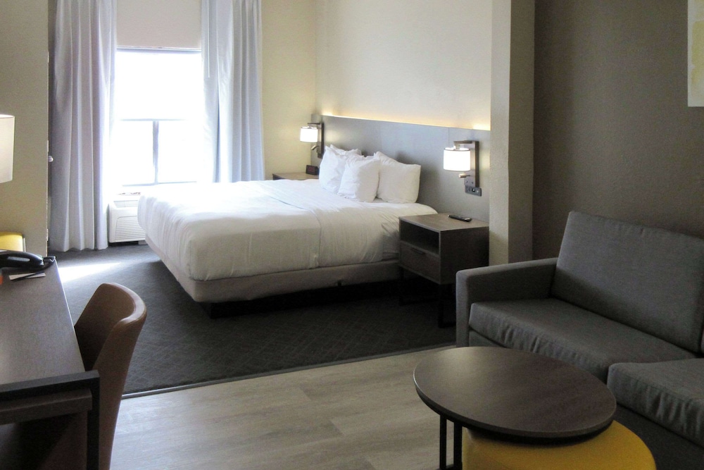 Suite, 1 King Bed, Non Smoking (Sofa Bed) - Photo 1
