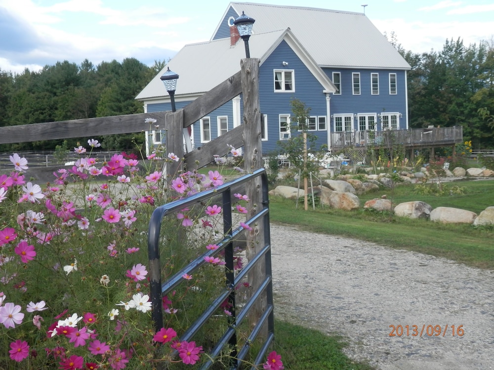 Deluxe Apartment, Multiple Beds, Garden View, Ground Floor photo 2