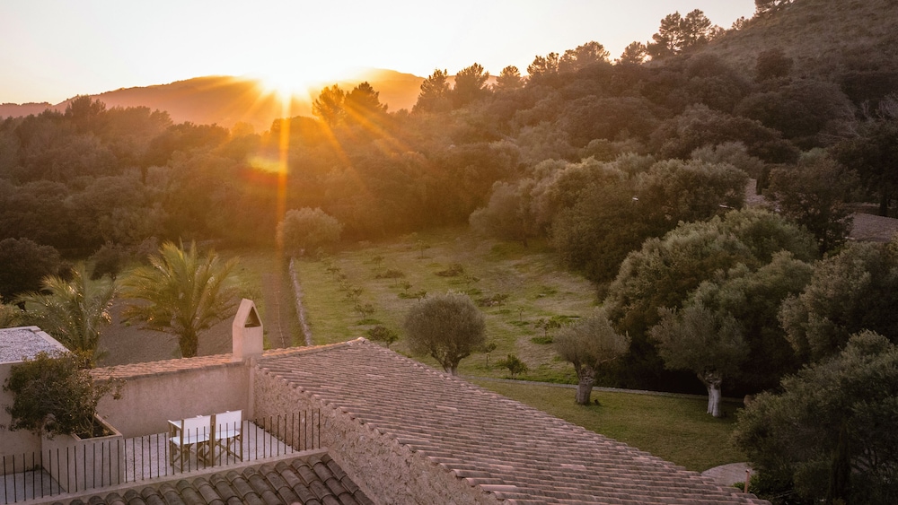 Panoramic Suite, Terrace - Photo 7
