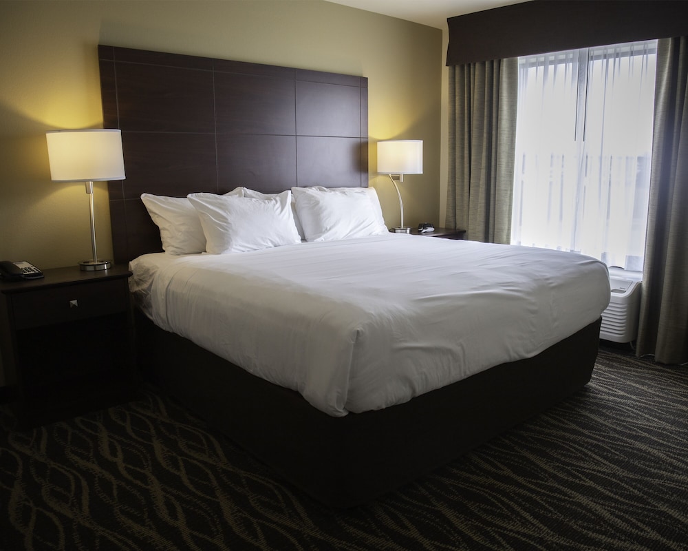 Suite, 1 King Bed with Sofa bed, Non Smoking - Photo 3
