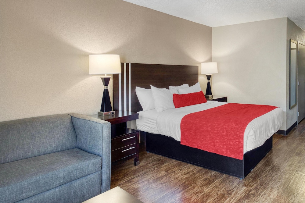 Standard Room, 1 King Bed, Non Smoking, Refrigerator & Microwave (with Sofabed) - Photo 3