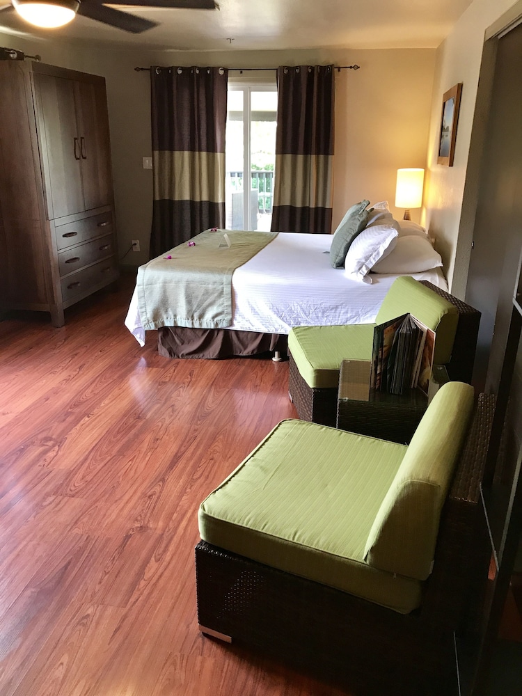 Studio Suite, Kitchenette, Bay View