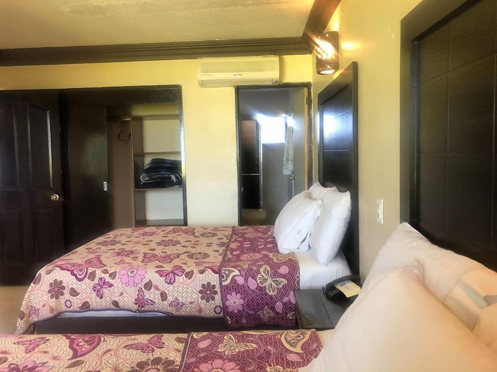 Basic Suite