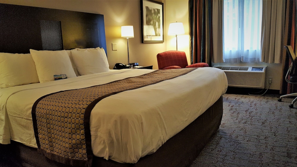 Room, 1 King Bed, Non Smoking - Photo 1