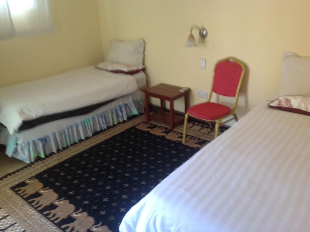 Standard Twin Room photo 1