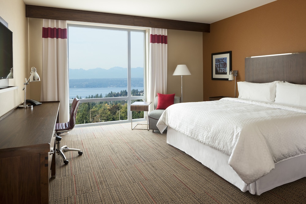 Room, 1 King Bed (Hearing Accessible) photo 3