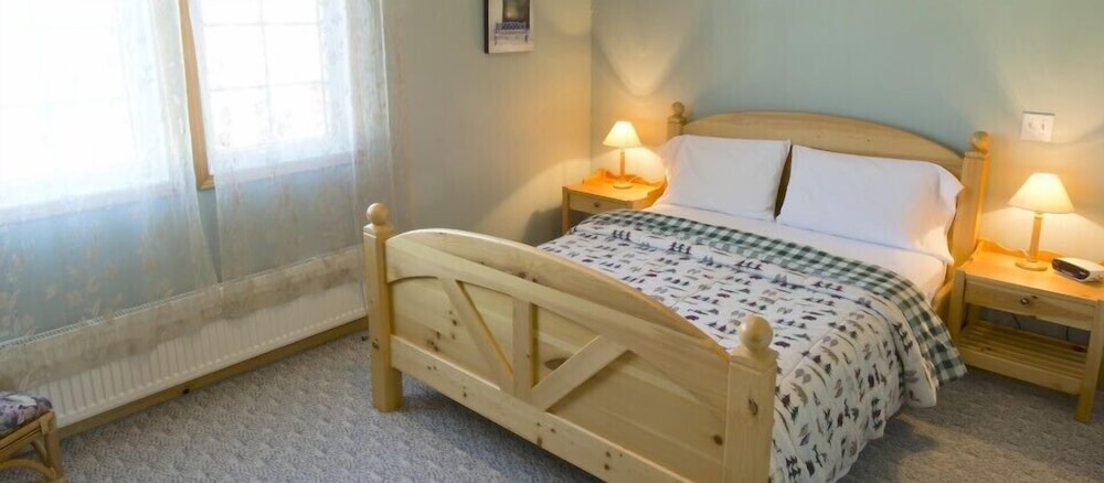 Room, 1 Queen Bed photo 3