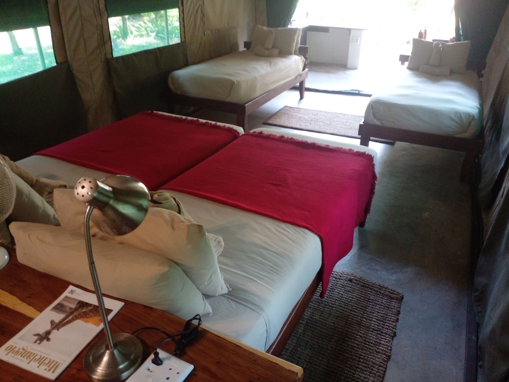 Luxury Tent, Multiple Beds photo 2