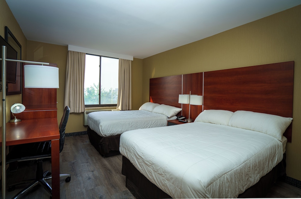 Business Double or Twin Room photo 1