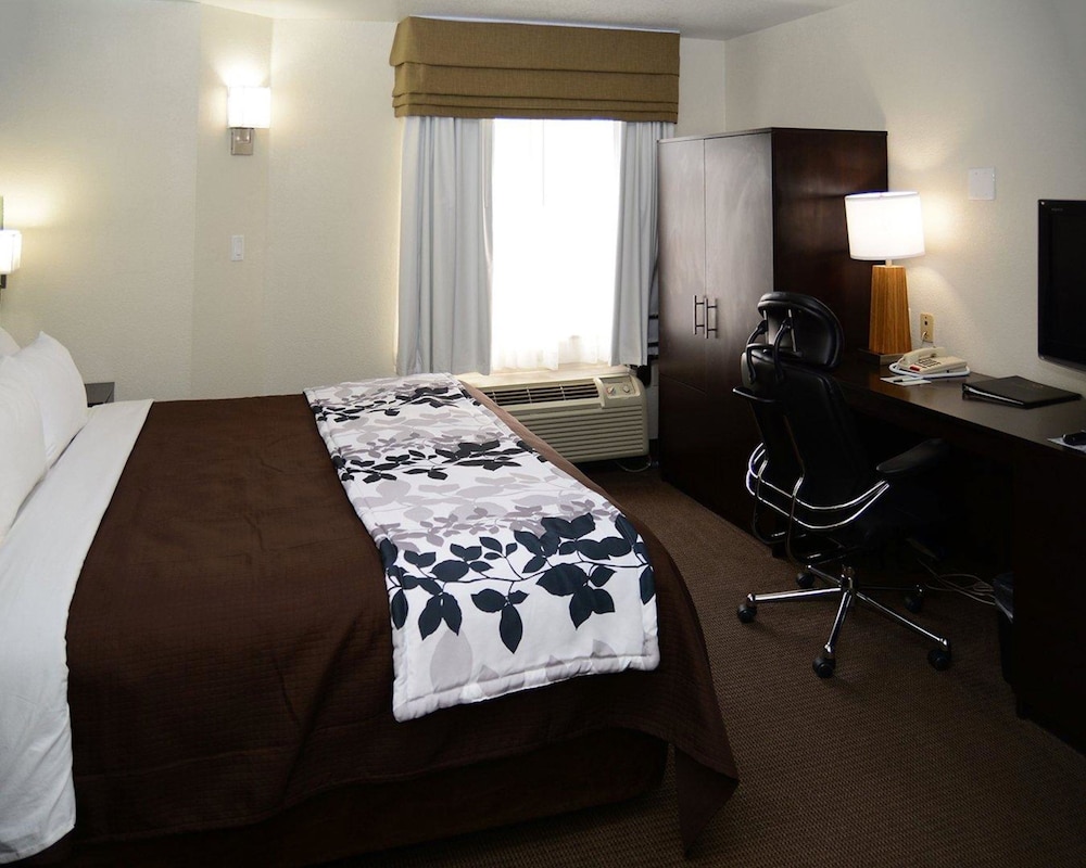 Room, 1 King Bed, Accessible, Non Smoking - Photo 1