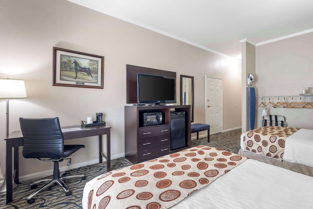 Standard Room, 2 Double Beds, Accessible, Bathtub photo 3