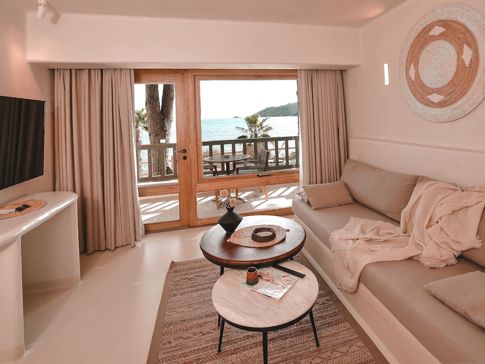 Premium Suite