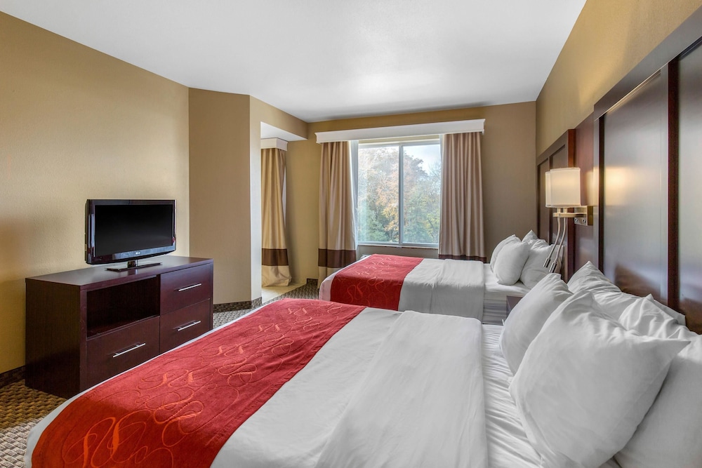 Suite, Multiple Beds, Accessible, Non Smoking - Photo 3