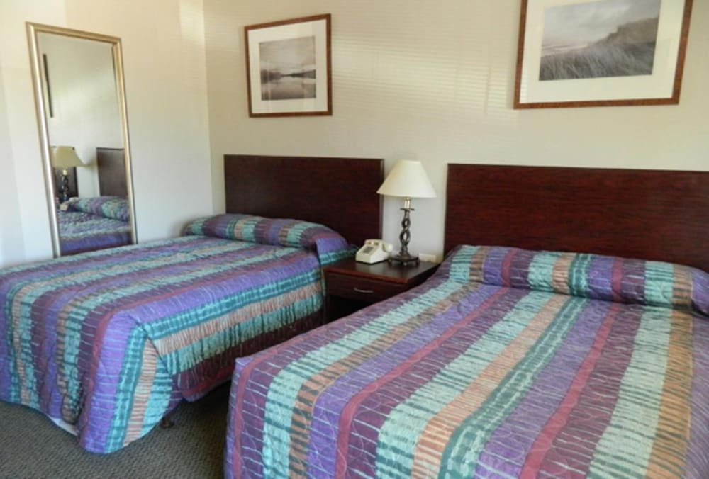 Standard Studio, 2 Double Beds, Non Smoking, Kitchenette photo 2
