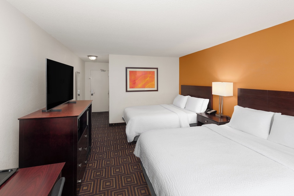 Suite, 1 Bedroom - Photo 1