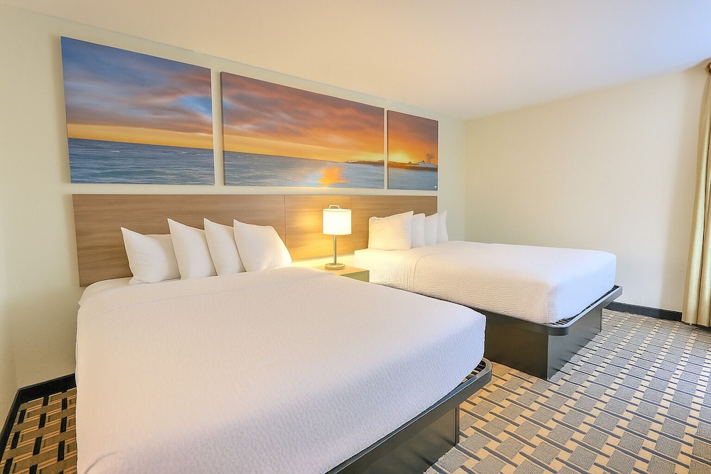 Suite - Photo 2