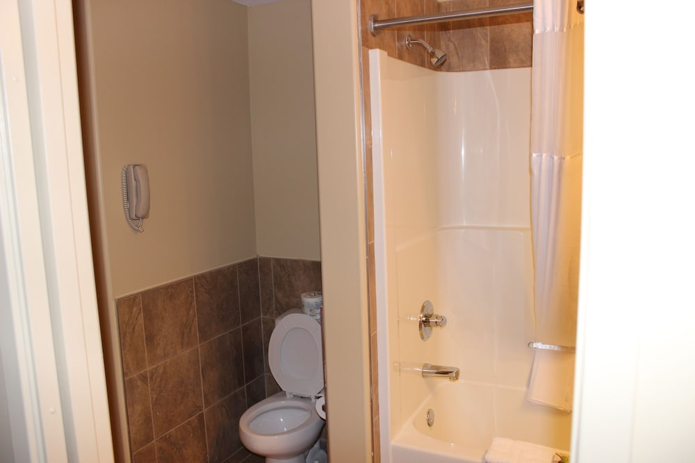 Suite, 1 Queen Bed photo 3