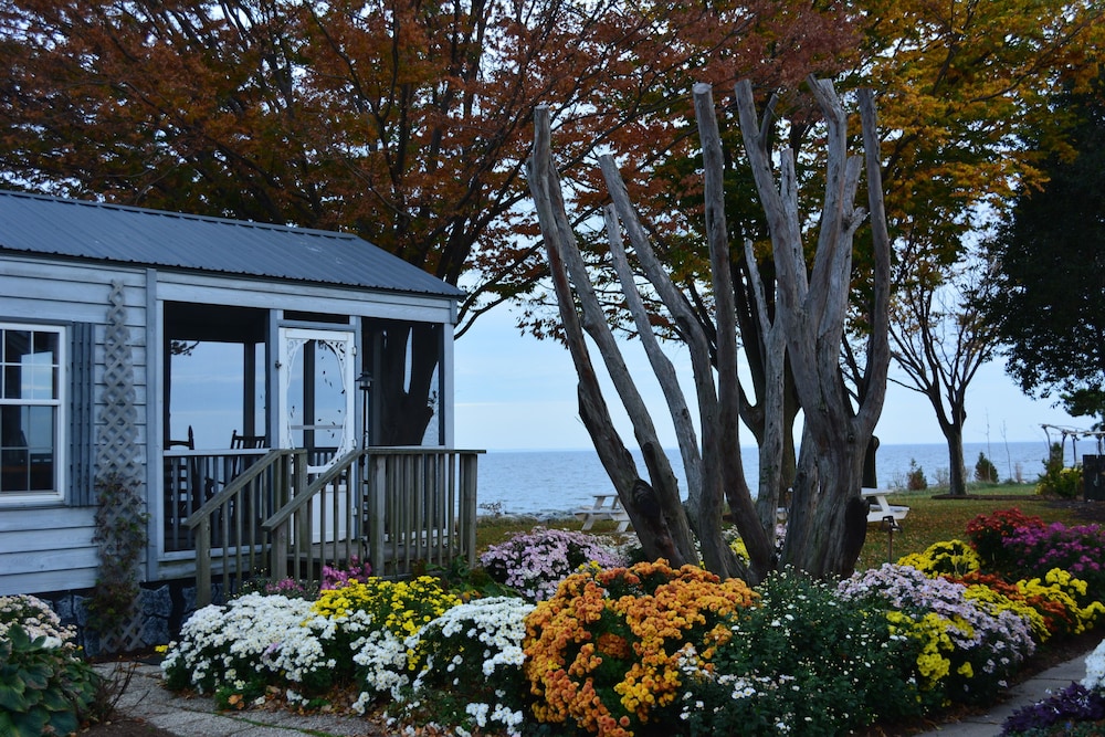 Deluxe Cabin, 1 Bedroom, Accessible, River View photo 2