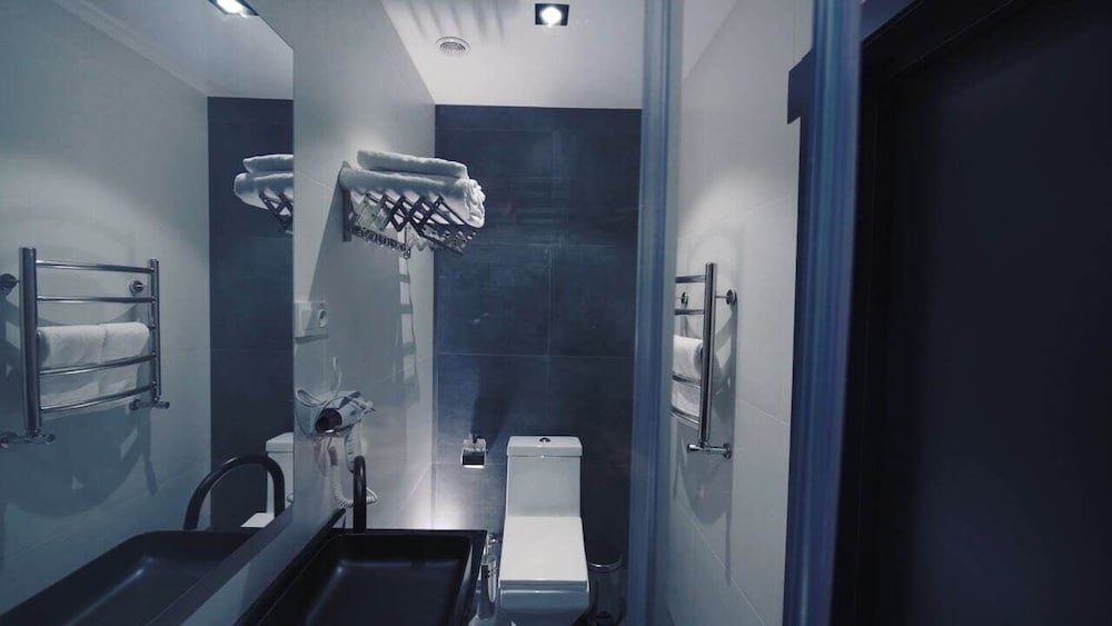 Deluxe Double or Twin Room photo 2