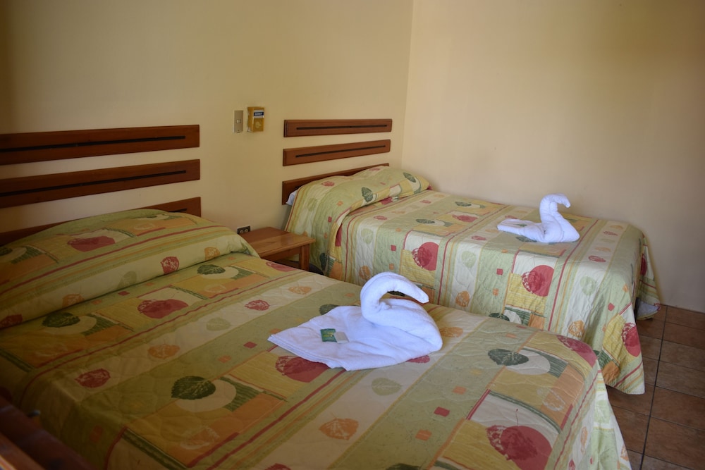 Basic Twin Room, 2 Twin Beds photo 1