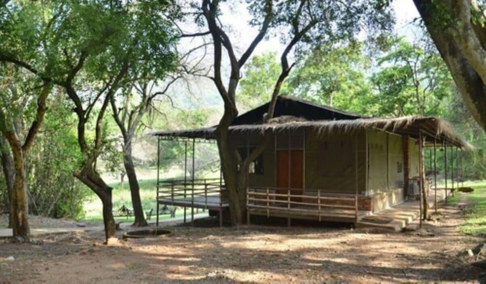 Deluxe Tent (Full Board) photo 2