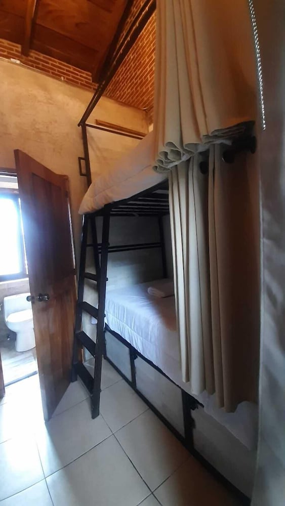 Standard Shared Dormitory photo 3
