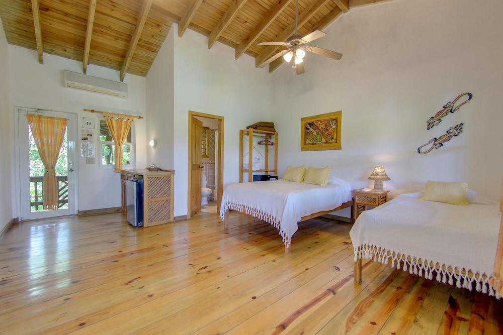 Deluxe Room, Ocean View, Oceanfront photo 1