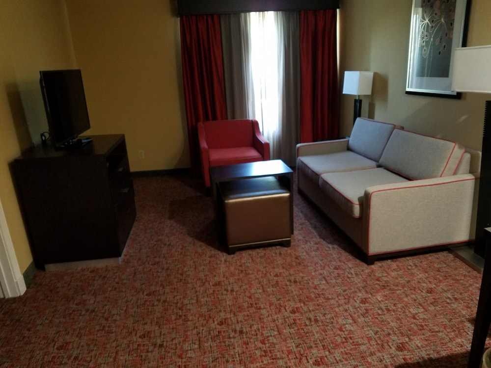 Suite, 1 King Bed, Accessible, Non Smoking (Roll-in shower) - Photo 10