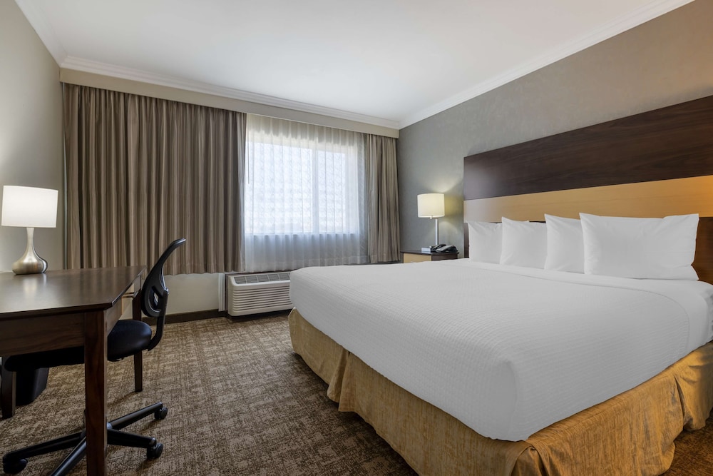 Suite, 1 King Bed, Non Smoking, Refrigerator & Microwave photo 3