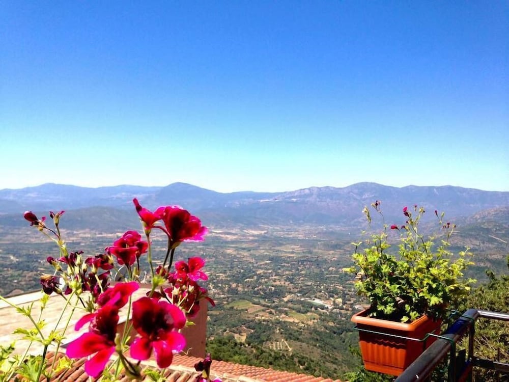 Panoramic Double Room, 1 King Bed, Non Smoking, Balcony photo 2