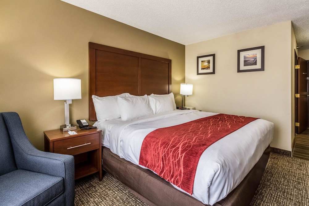 Room, 1 King Bed, Accessible, Non Smoking - Photo 6