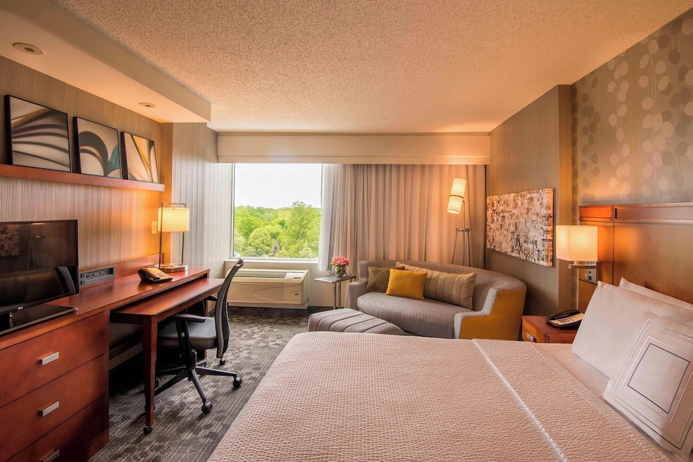 Suite, 1 Bedroom photo 2