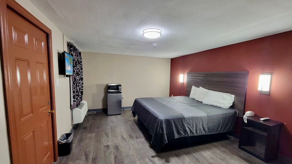 Suite Single Bed (1 King)