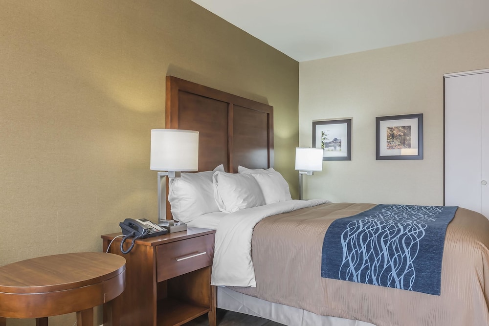 Standard Room - Photo 4