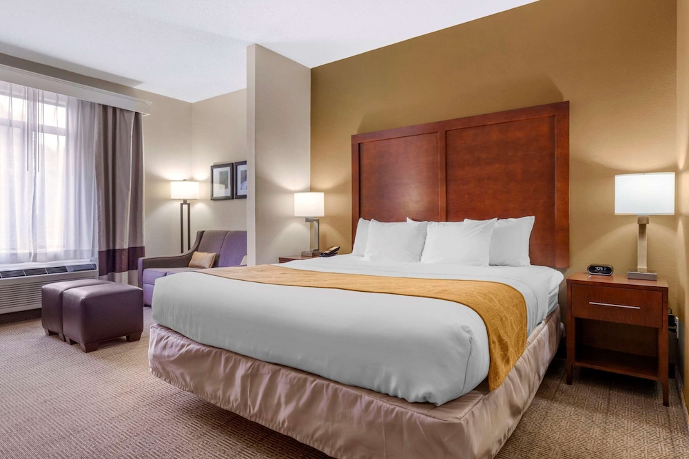 Suite, 1 King Bed with Sofa bed, Accessible, Non Smoking - Photo 1