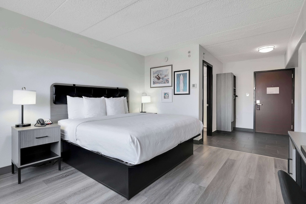 Room, 1 King Bed, Mobility Accessible, Non Smoking (Roll-In Shower) - Photo 7