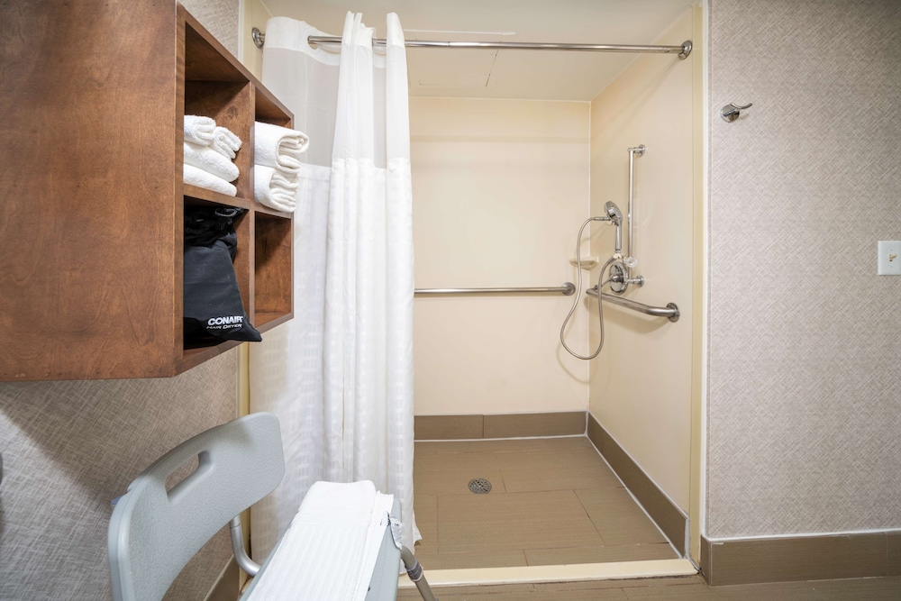 Standard Room, 1 King Bed, Accessible, Refrigerator & Microwave - Photo 4