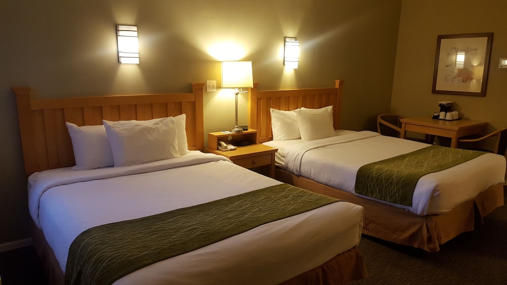 Deluxe Room, 2 Queen Beds, Non Smoking - Photo 3