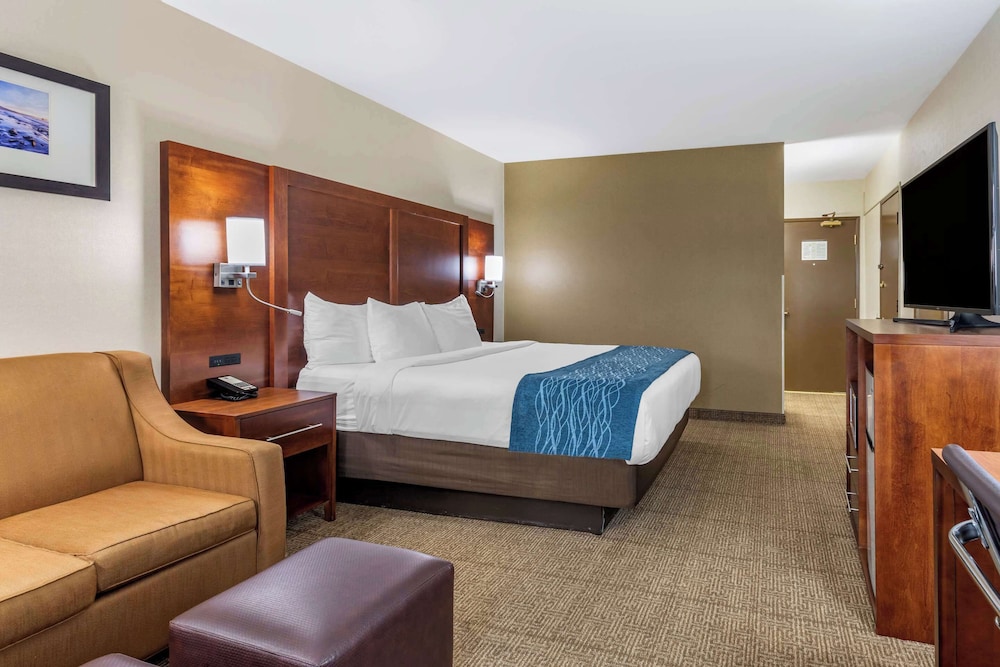 Standard Room, 1 King Bed with Sofa bed, Non Smoking - Photo 3