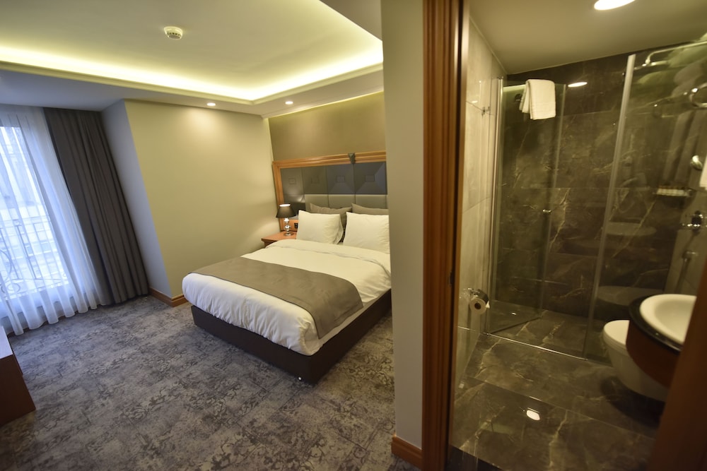 Superior Double Room, 1 Double Bed, Non Smoking, City View photo 3