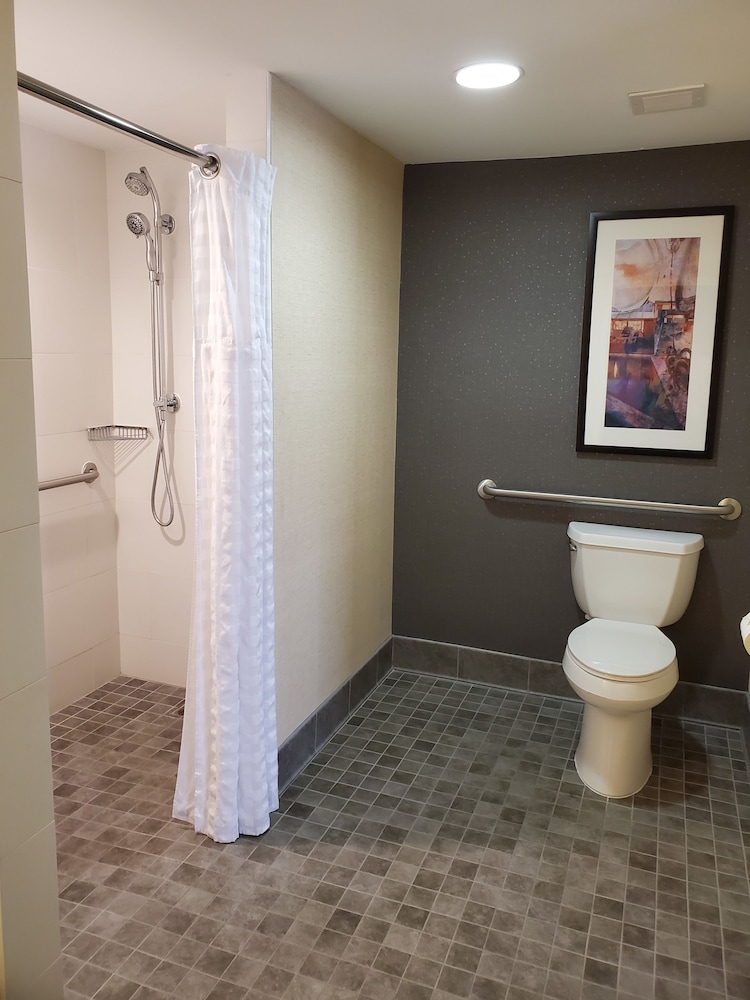 Suite, 1 King Bed, Accessible (Roll-in Shower) - Photo 4