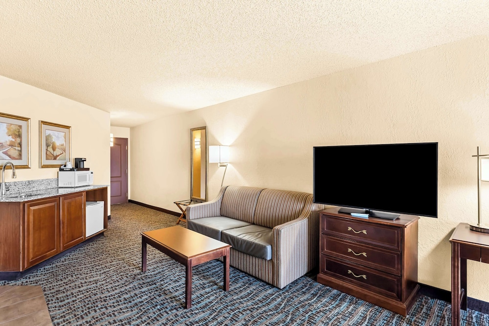 Suite, 1 King Bed, Non Smoking, Jetted Tub (with Sofabed) - Photo 3